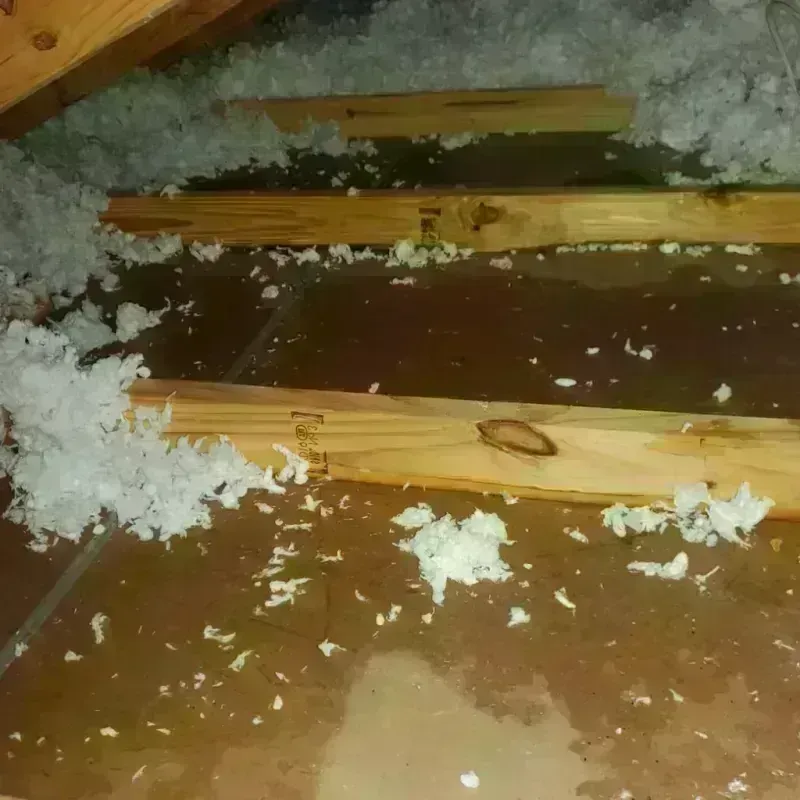 Attic Water Damage in Eau Claire, WI