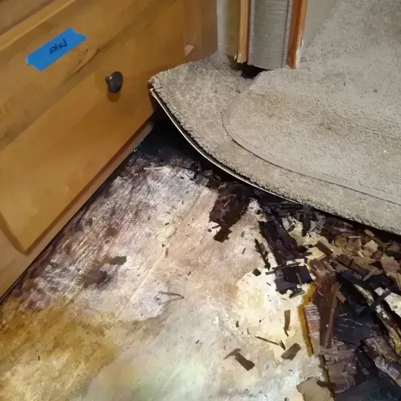 Wood Floor Water Damage in Eau Claire, WI